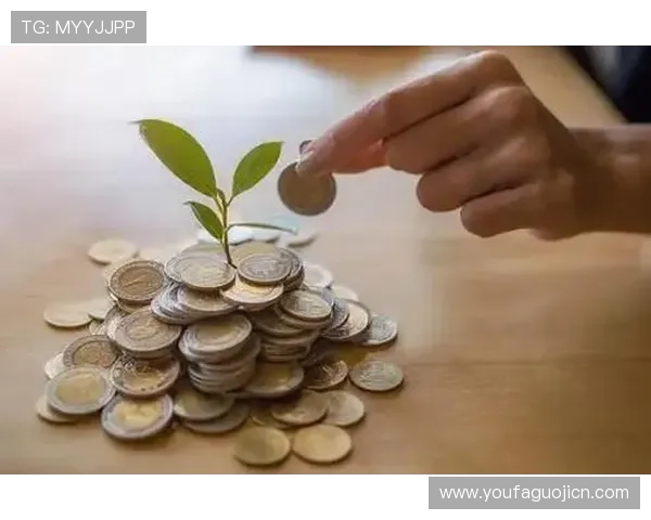 我发财的投资策略揭秘让你的财富快速增长的方法