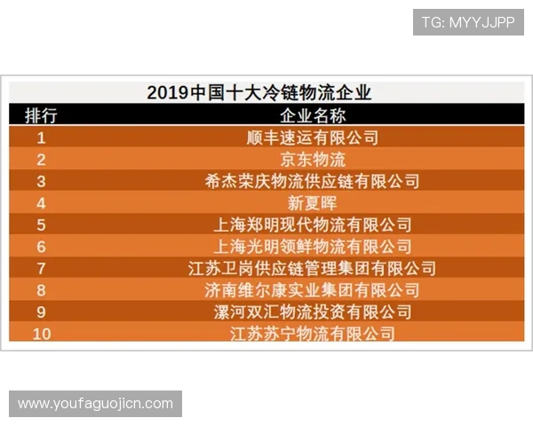 深入解析百家乐打法公式背后的数学原理与实际操作技巧